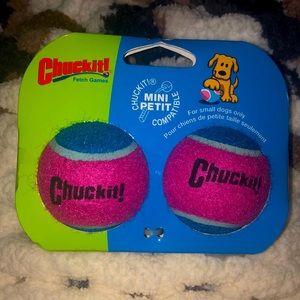 Chuck It Mini Balls